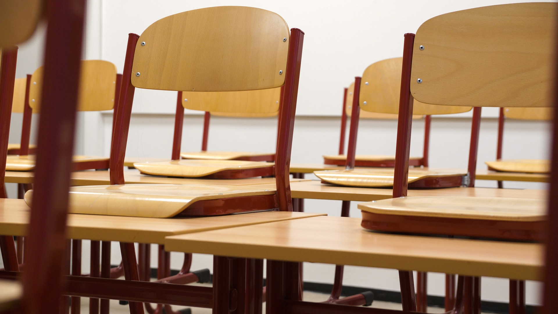 FDP-Ammerland-Wahlprogramm-Landtagswahl-NIedersachsen-schule